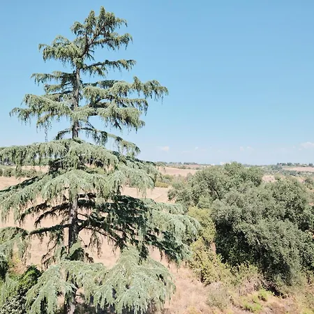 Due Con Vista A - Zona Cassia Rom